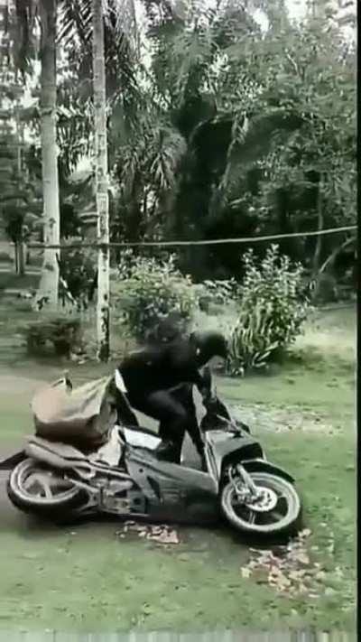 Abang kurirnya pasti mantan karyawan tong setan deh