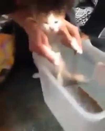 CaT foRcED To dO mAnuaL lABoR FOR fooD