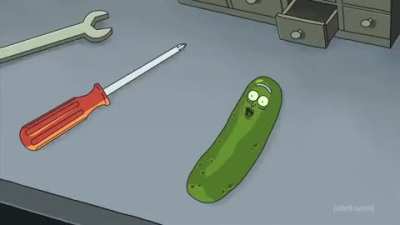 Pickle Rick Song