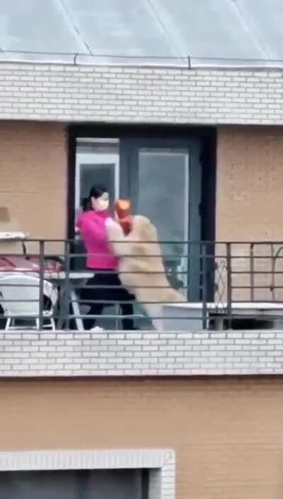 Cool fights with the Samurai Doggo.