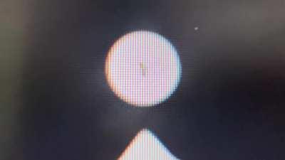 An ant crawled into my monitor. I accidentally squished it trying to get it off the screen.