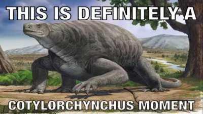 The overwhelmingly unanimous majority agrees.