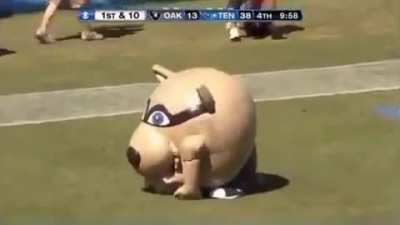 Engulfing the cheerleader.