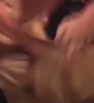 Drunk men finds a dog