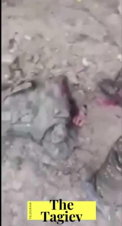 Years of civilization *armenia* read comments