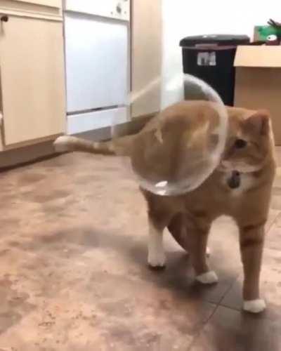 I hardly even touched it!