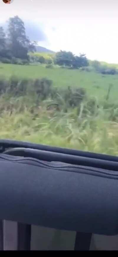 Kaitlyn Dever bikini