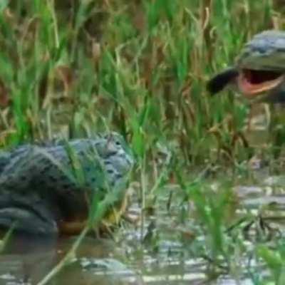 guess what day it is