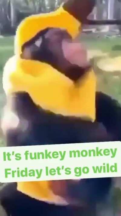 Alguien tenía que hacer platano torino 2