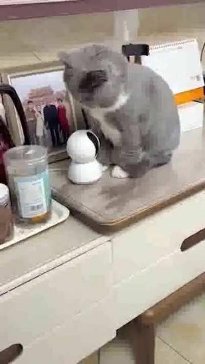 Oh, you like to watch? Here, let me do it again