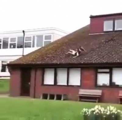 trying to ride bike off roof