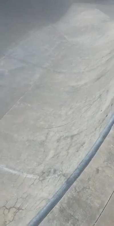 I saw the craziest thing at the skatepark today