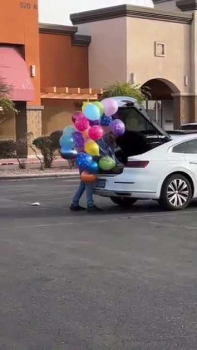 Man struggling to get balloons into the trunk of his car.