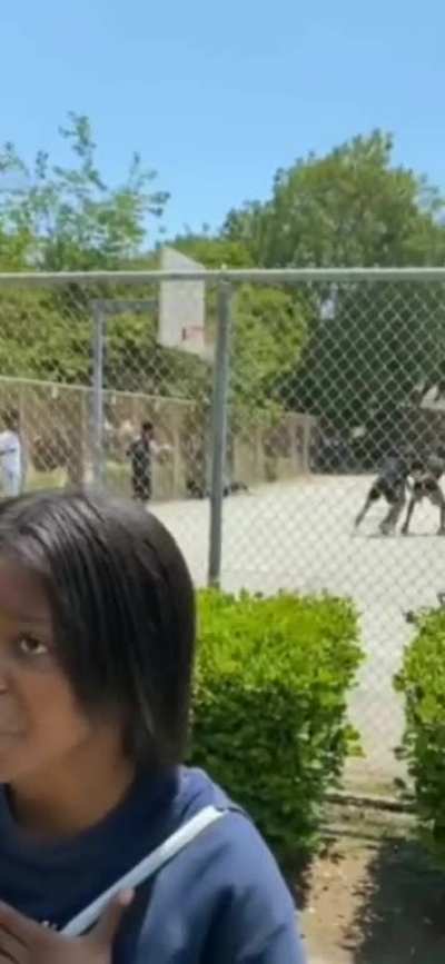 Kids at school fight (verbally)