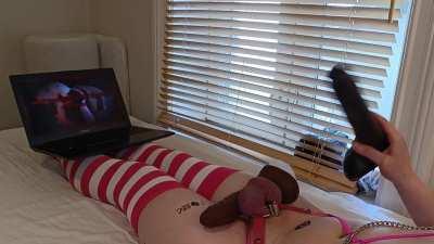 I love hurting my sissy clitty