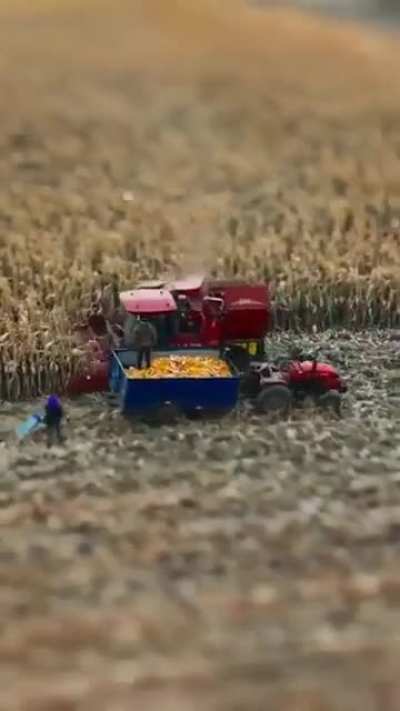 Tilt shift photography making a full size farm appear miniature