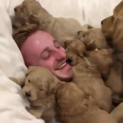 The ultimate dog pile.