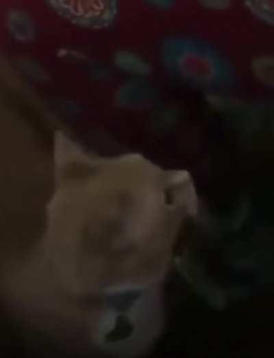 Dripped oil on her face? Idk