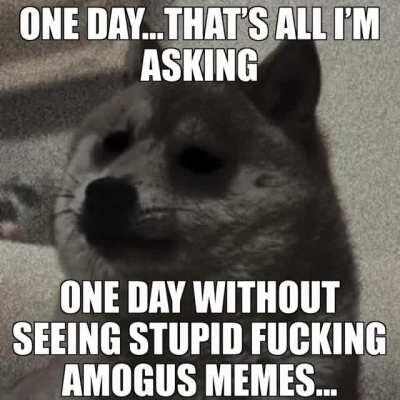 😂😂😂😂AMOGUS GET It!?!? 🤣🤣🤣🤣