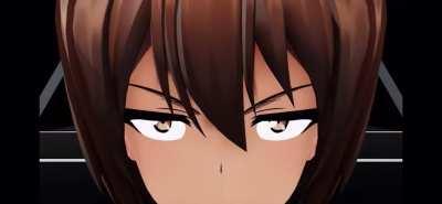 A Nishizumi Summary on last battle