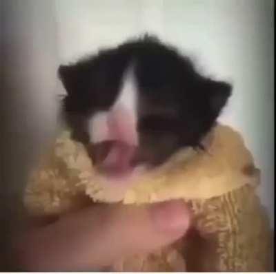 yo pierre u wanna come out here