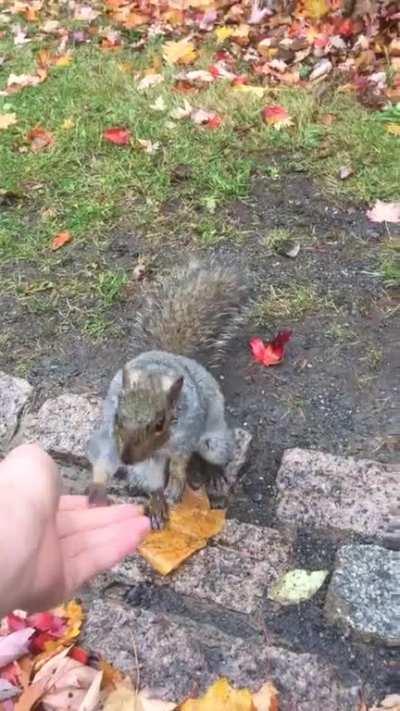 high five. I hope he was happy but we all know he was disappointed