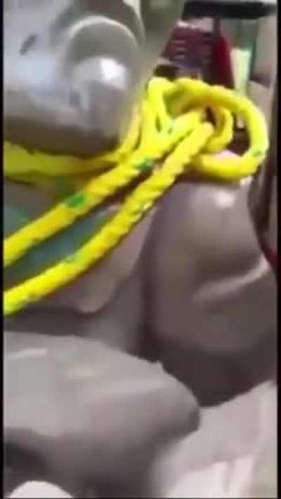 Finding some souvenirs 