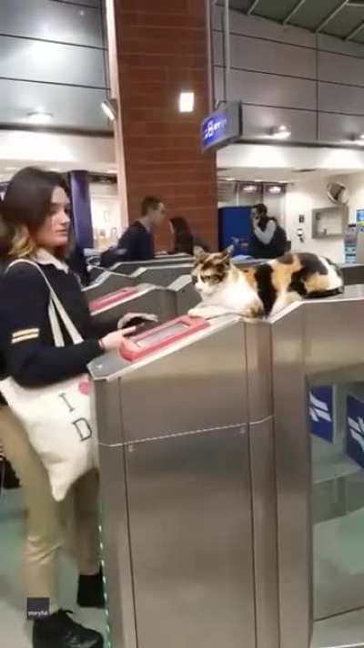 New ticket condector.