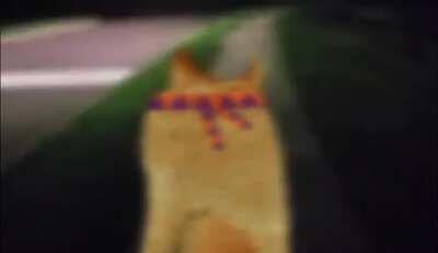 Le Night of The Living Cheemsburger Has Arrived!