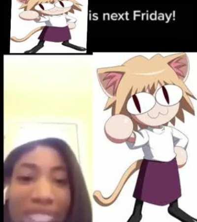 funnie cartoon cat person