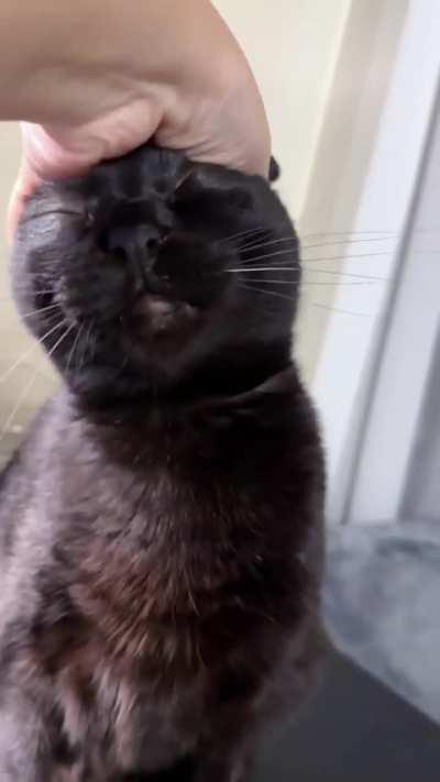 Press the button behind ears to restart the program 