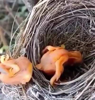 Someone was a little short this month