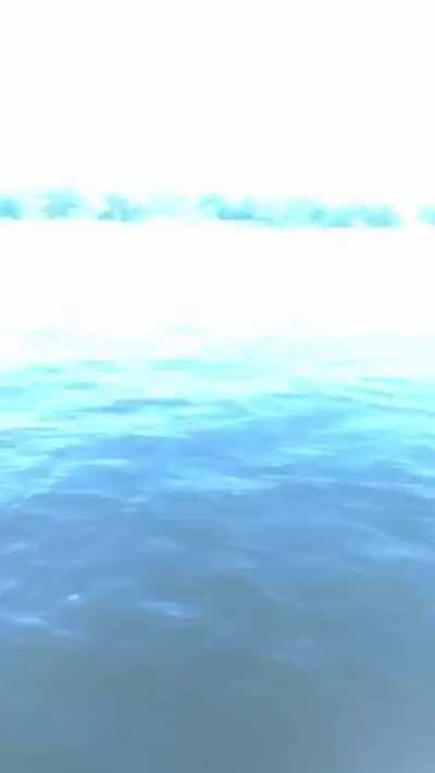 Palina, die Schwerverbrecherin