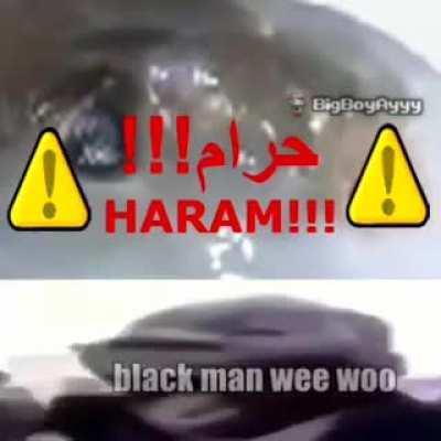 how 2 puffer phish (real!😳😳😳)