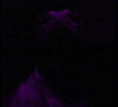 walter is the criminal 😳