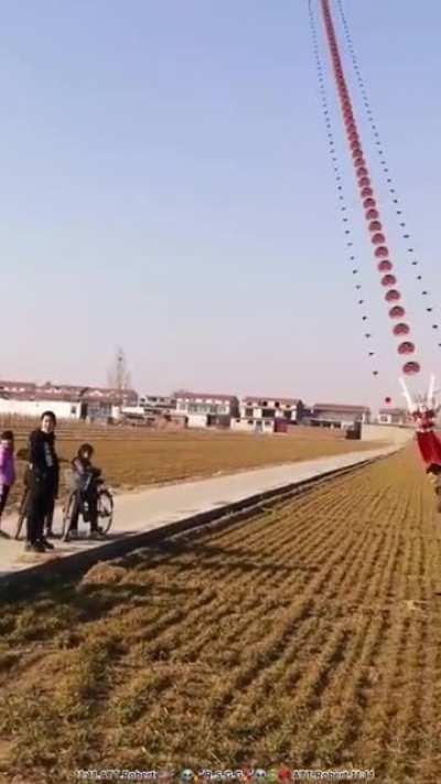 The kite was how big?