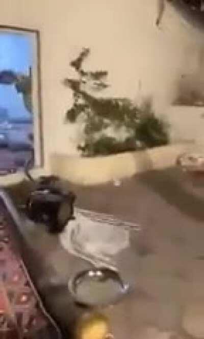 Apparently, he wanted fish but instead got bananas.