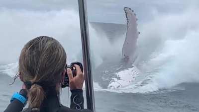 I don’t know if this has been posted or what but its terrifying