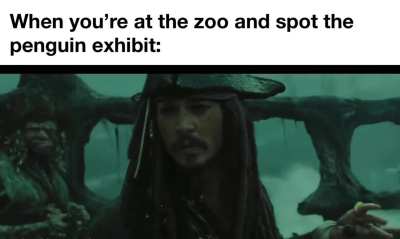 Never to late to learn