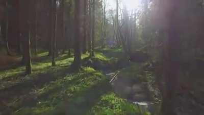 Zillakami inspirational quote