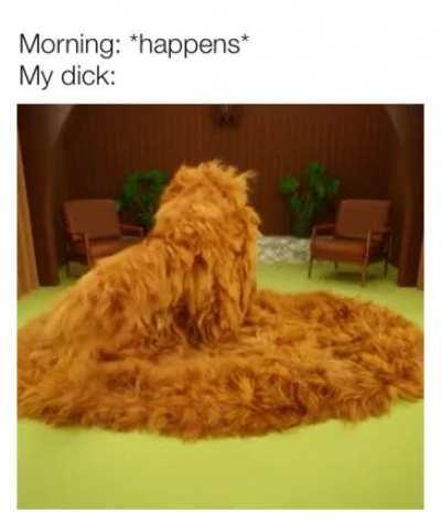 Why are you reading the title?