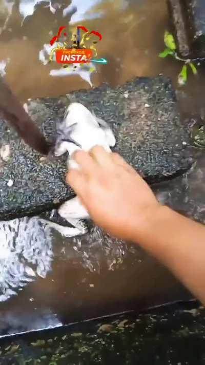 cred(ig): @epicrofls