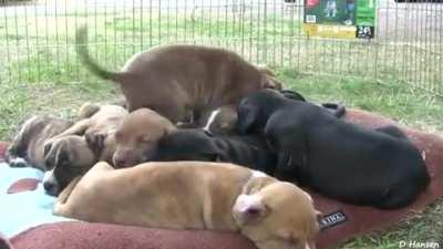 HMK while I find a comfortable spot to rest