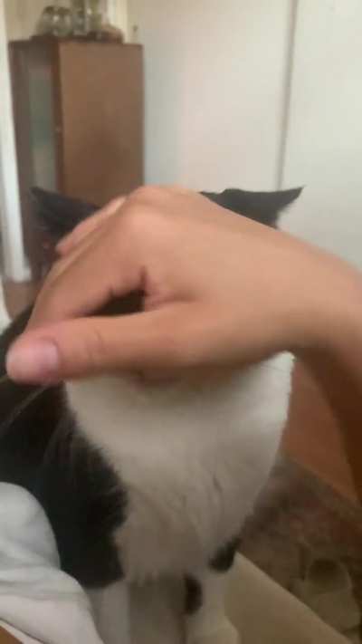 She craves human flesh