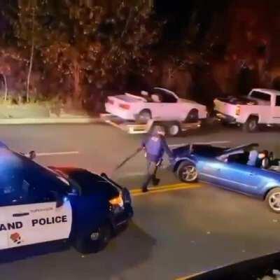 What the hell is going on here?