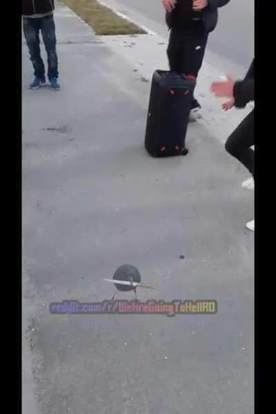 Transmisiune live de la fata locului