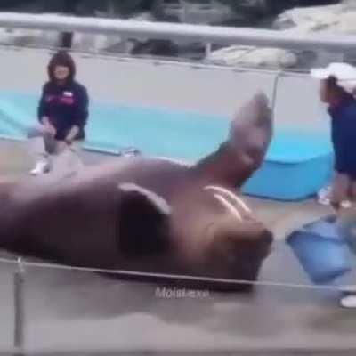 Alguém sabe o nome da música?