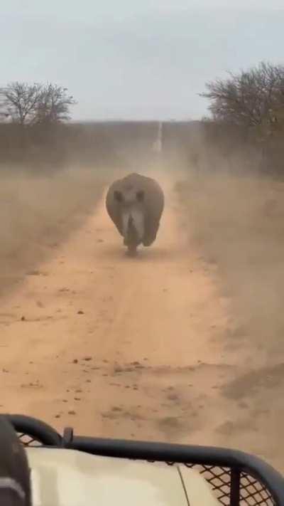 Drivers steering control is very impressive.