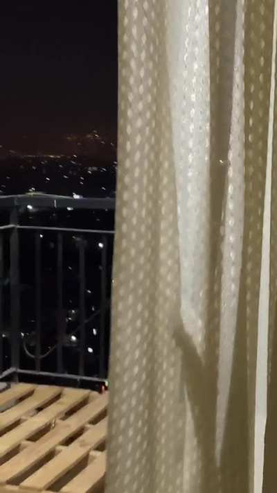 This girl saw 3 monkeys on the 20th floor balcony