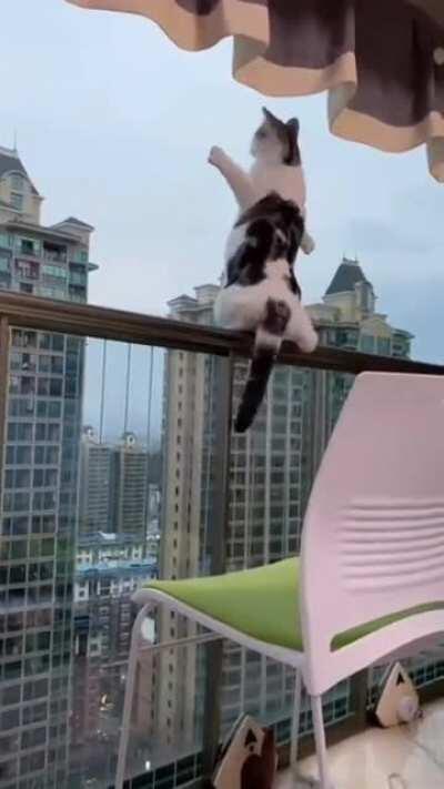 Don’t scare me like that, kitty...